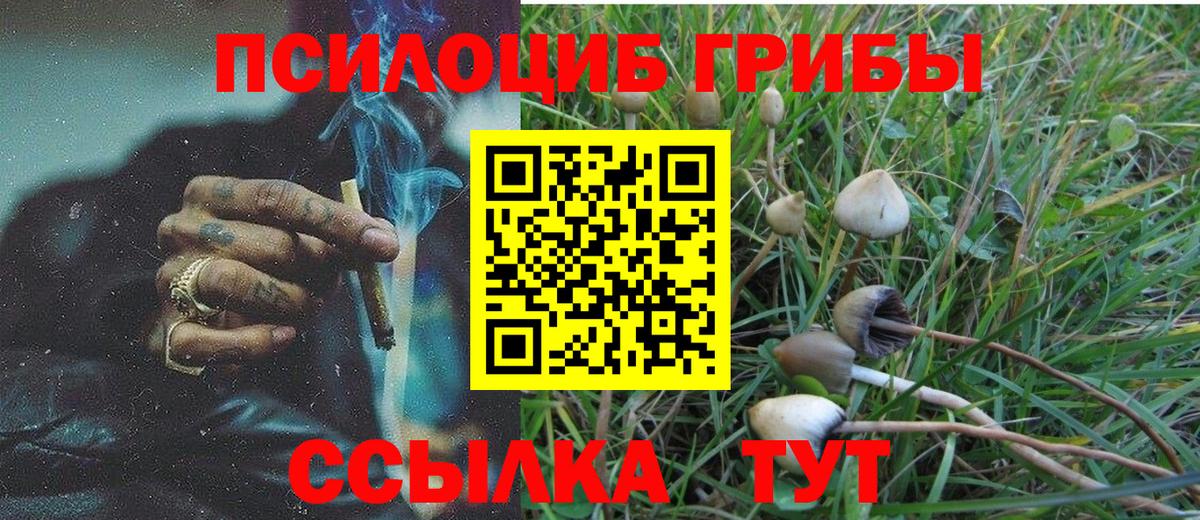 Галлюциногенные грибы прущие грибы Мценск