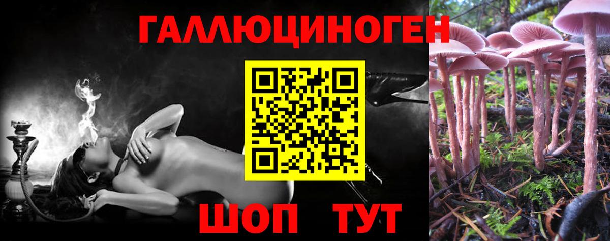 Псилоцибиновые грибы Psilocybe  Галлюциногенные грибы Cubensis  Мценск  Вход с VPN 